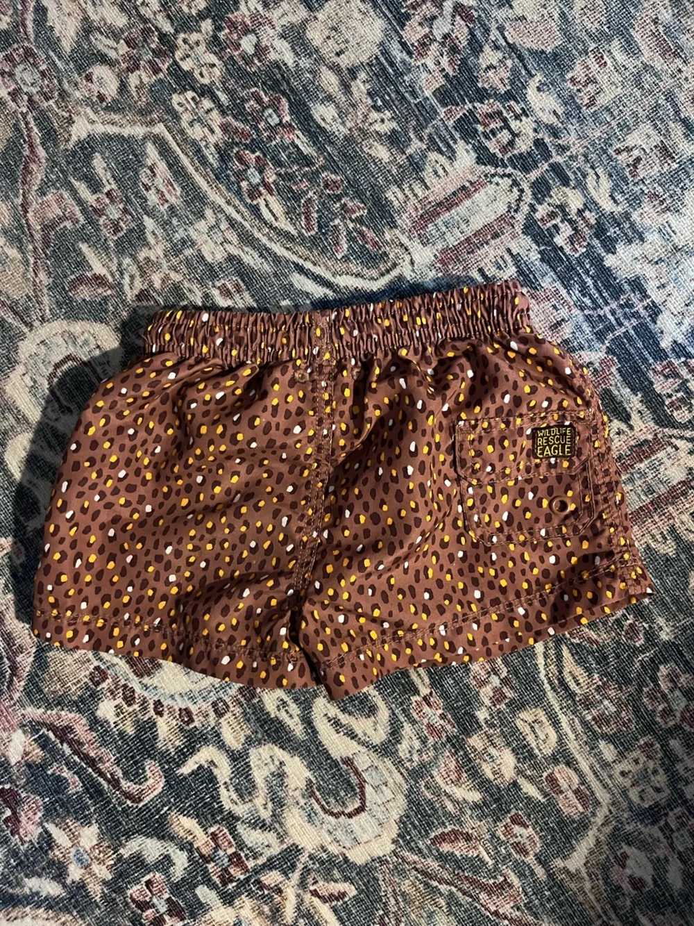 Zara 3y animal